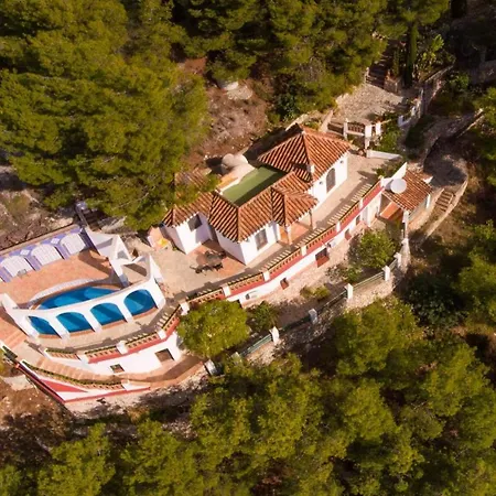 Angel 프리질리아나